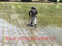 令和3年　新潟県三条市しただ産　減農薬　新潟県認証　特別栽培米コシヒカリ玄米30kg 白雪美人　グルテンフリー　送料無料_画像7