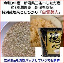 玄米真空パック令和3年　新潟県三条市しただ産　減農薬特別栽培米コシヒカリ10kg_画像1