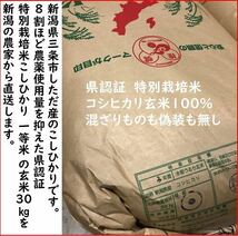 令和3年　新潟県三条市しただ産　減農薬　新潟県認証　特別栽培米コシヒカリ玄米30kg 白雪美人　グルテンフリー　送料無料_画像1