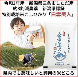 令和3年　新潟県三条市しただ産　減農薬認証特別栽培米コシヒカリ5kg 　白雪美人　グルテンフリー　送料無料