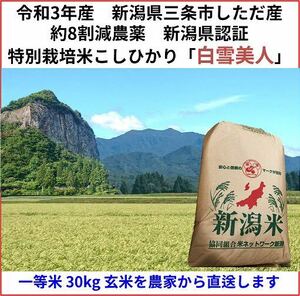 令和3年産　新潟県三条市しただ産　減農薬　新潟県認証　特別栽培米コシヒカリ玄米30kg 白雪美人　グルテンフリー　送料無料