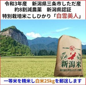 令和3年　新潟県三条市しただ産　減農薬　新潟県認証　特別栽培米コシヒカリ白米25kg 白雪美人　グルテンフリー　送料無料