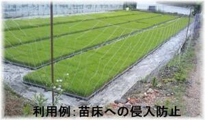 * Japan agriculture newspaper publication *umiu*ka wow avoid * deer pest control net *... protection * used paste net *sagi avoid *18m×1.6m* birds and wild animals . prevention *10 sheets set * deer avoid 
