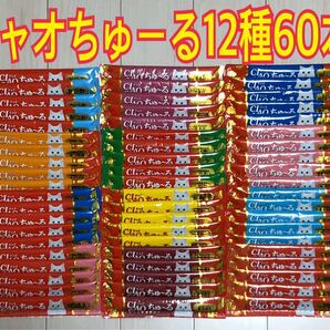 いなば チャオちゅーる 12種60本