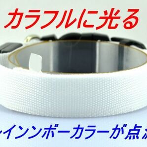 光る!首輪【S カラフル】LEDライトが明るく安全!中小型犬 夜間のお散歩に♪ 安心 防犯 犬 猫 ペット 【カラフル/S 】七色 レインボー