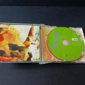 CD レンタル落 羅針盤 ソングライン SHM-CD 2009の画像3