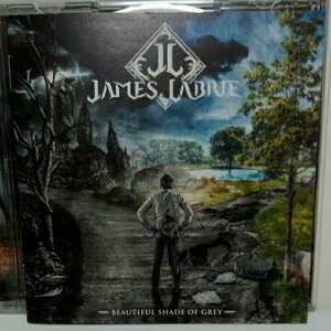 JAMES LABRIE[BEAUTIFUL SHADE OF GREY]
