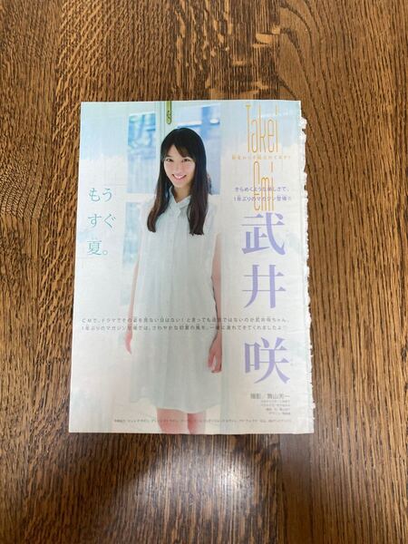 武井咲 グラビア 写真 切り抜き