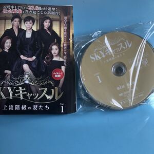 SKY キャッスル 上流階級の妻たち DVD 全18枚セット