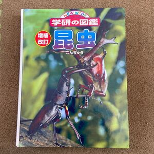 昆虫 図鑑