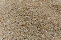 令和3年　千葉県産コシヒカリ玄米1.8キロ　減農薬 伝ちゃん農園_画像4