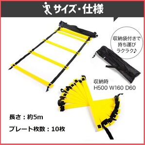 トレーニング ラダー 5m収納袋付 練習 サッカー フットサル 野球 陸上