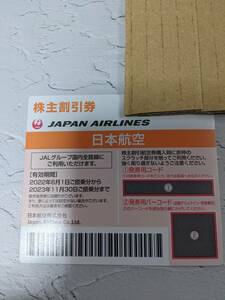 JAL 日航 日本航空 株主優待券 1枚 （有効期限2023年11月30日）
