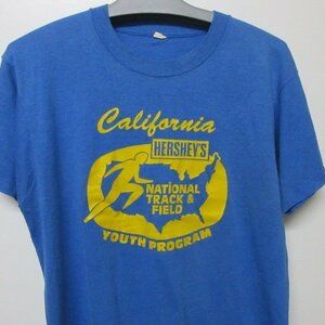 90s アメリカ製　オールド　Tシャツ L 青　ファイナリスト　スクリーンスターズ 　90年代　USA古着　sy2076
