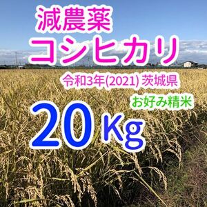 コシヒカリ 20kg 減農薬 茨城県 令和3年(2021) 米 おこめ 白米(玄米可)
