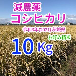 コシヒカリ 10kg 減農薬 茨城県 令和3年(2021) 米 おこめ 白米(玄米可)