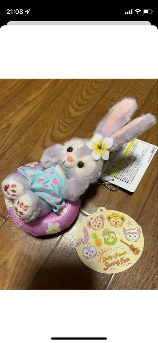 PayPayフリマ|香港ディズニー新商品 2022年スプリング 特別版 ...