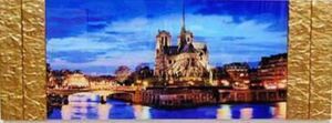 Art hand Auction Aus Italien importiert. Gerahmtes Bild der Kathedrale Notre Dame. Goldfarbenes gerahmtes Bild der Kathedrale Notre Dame, Kunstwerk, Malerei, Grafik