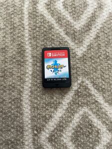 任天堂switch ポケットモンスター ソード【説明必読】