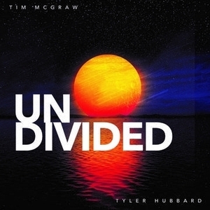 【新宿ALTA】 新品 Tim Mcgraw/Undivided【2021 RECORD STORE DAY 限定盤】(12インチアナログレコード)(3006196)