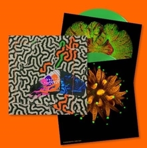 【新宿ALTA】 新品 Animal Collective/Tangerine Reef (カラーヴァイナル仕様/2枚組アナログレコード)(WIGLP430X)