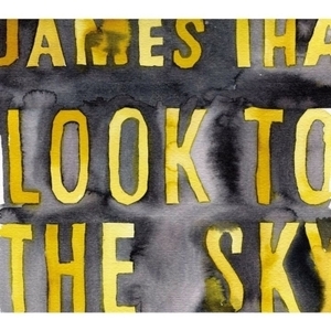 【新宿ALTA】 新品 James Iha/Look To The Sky【2020 レコードの日 限定盤】(アナログレコード)(UPJY9133)