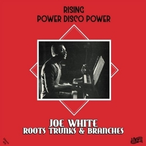 【新宿ALTA】 新品 Joe White/Rising Power Disco Power (12インチシングルレコード)(JAMWAXMAXI15)