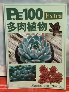 *Profile 100 extra succulent plant pi- She's Pro file 100 higashi mountain ..pi- She's 