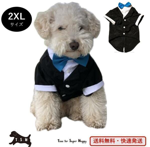 ペット用タキシード（水色・XXLサイズ）犬　正装服　コスチューム