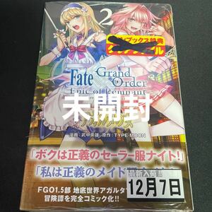 Ｆａｔｅ／Ｇｒａｎｄ　Ｏｒｄｅｒ‐Ｅｐｉｃ　ｏｆ　Ｒｅｍｎａｎｔ‐亜種特異点２伝承地底世界アガルタ　アガルタの女　２ 