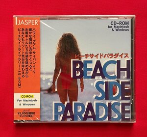 CD-ROM／Windows・Macintosh JASPER BEACH SIDE PARADISE ビーチサイドパラダイス JAH-07 当時モノ 希少　D1395