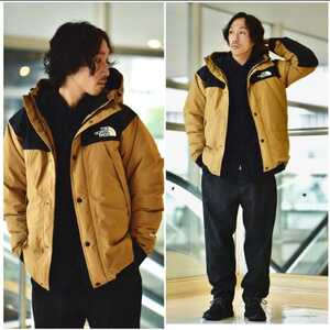 THE NORTH FACEマウンテンダウンジャケット(メンズM)GORE-TEX ザ・ノース・フェイス ゴアテックスMountain Down Jacket商品型番ND91930