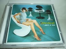 CDB1478　ZEBRAHEAD ゼブラヘッド　/　WASTE OF MIND　/　輸入盤中古CD　送料100円_画像1