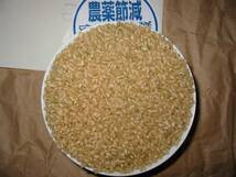 令和3年産米（玄米低温保管中）