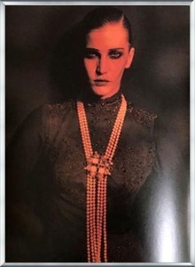 VISIONAIRE（ヴィジョネアー）ディアナ・ドンドー シャネル（リンドバーグ） 額装品