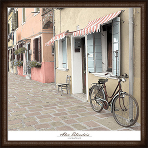 Venetian Bicycle(アラン ブラウステイン)額装済ポスター