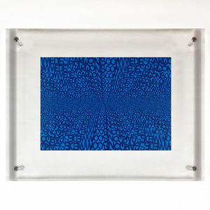 Comme des garcons 18( Comme des Garcons ) acrylic fiber frame ( frame goods )