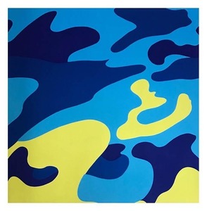  постер Anne ti War ho ru камуфляж -ju1987 (blue yellow)