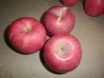 森県産りんご　3種詰合せ　ダンボール入り約10kg　キズ有り（ふじ・王林・ジョナゴールド）_画像3