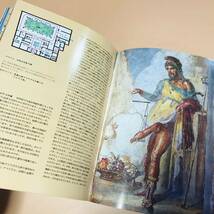 ポンペイ　今日と1000年前の姿　ボネキ出版　カラー写真150枚　復元図図面36枚　遺跡地図_画像10