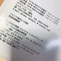 ポンペイ　今日と1000年前の姿　ボネキ出版　カラー写真150枚　復元図図面36枚　遺跡地図_画像3