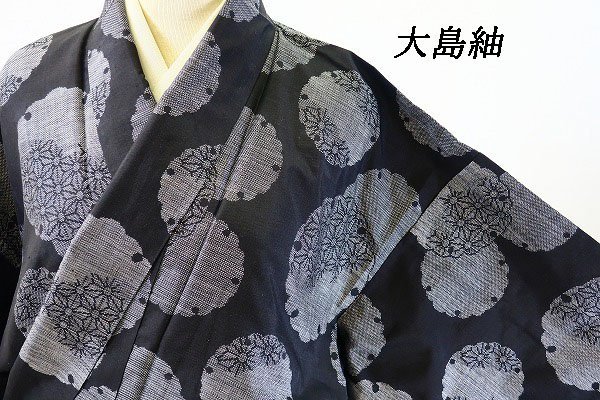 ヤフオク! -着物 紬 付け下げの中古品・新品・未使用品一覧