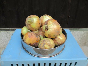 淡路島農家のおすそ分け 　　　（玉葱：ターザン：7kg　じゃが芋：きたあかり：3kg） 　１０kg 詰め合わせ　