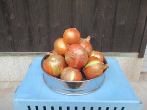 淡路島農家のおすそ分け 　 訳あり品　（玉葱：ターザン７kg　 　じゃが芋：メークイン３kg）　　　１０kg 詰め合わせ　
