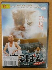 DVD レンタル版 映画ねこばん 伊武雅刀 りりィ 奥田いろは 片山けい 上原奈