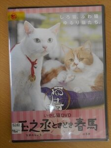 DVD レンタル版 猫侍 いやし猫DVD 猫侍 玉之丞ときどき春馬