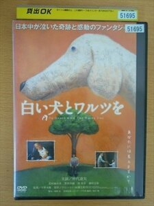 DVD レンタル版 白い犬とワルツを 中代達矢 若村麻由美 豊原功補