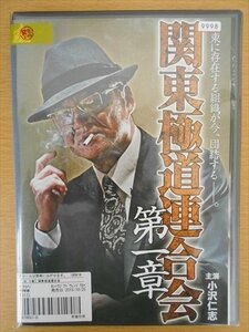 DVD レンタル版 関東極道連合会 全5巻 ケースなし 小沢仁志 北代高士