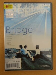 DVD レンタル版 Bridge ～この橋の向こうに～ 市瀬秀和 川端麻祐子 藤真美穂