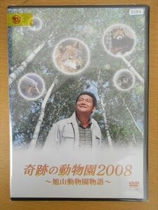 DVD レンタル版 奇跡の動物園2008 旭山動物園物語 山口智充 戸田恵梨香 小出恵介 平岡祐太 利重剛 荒川良々